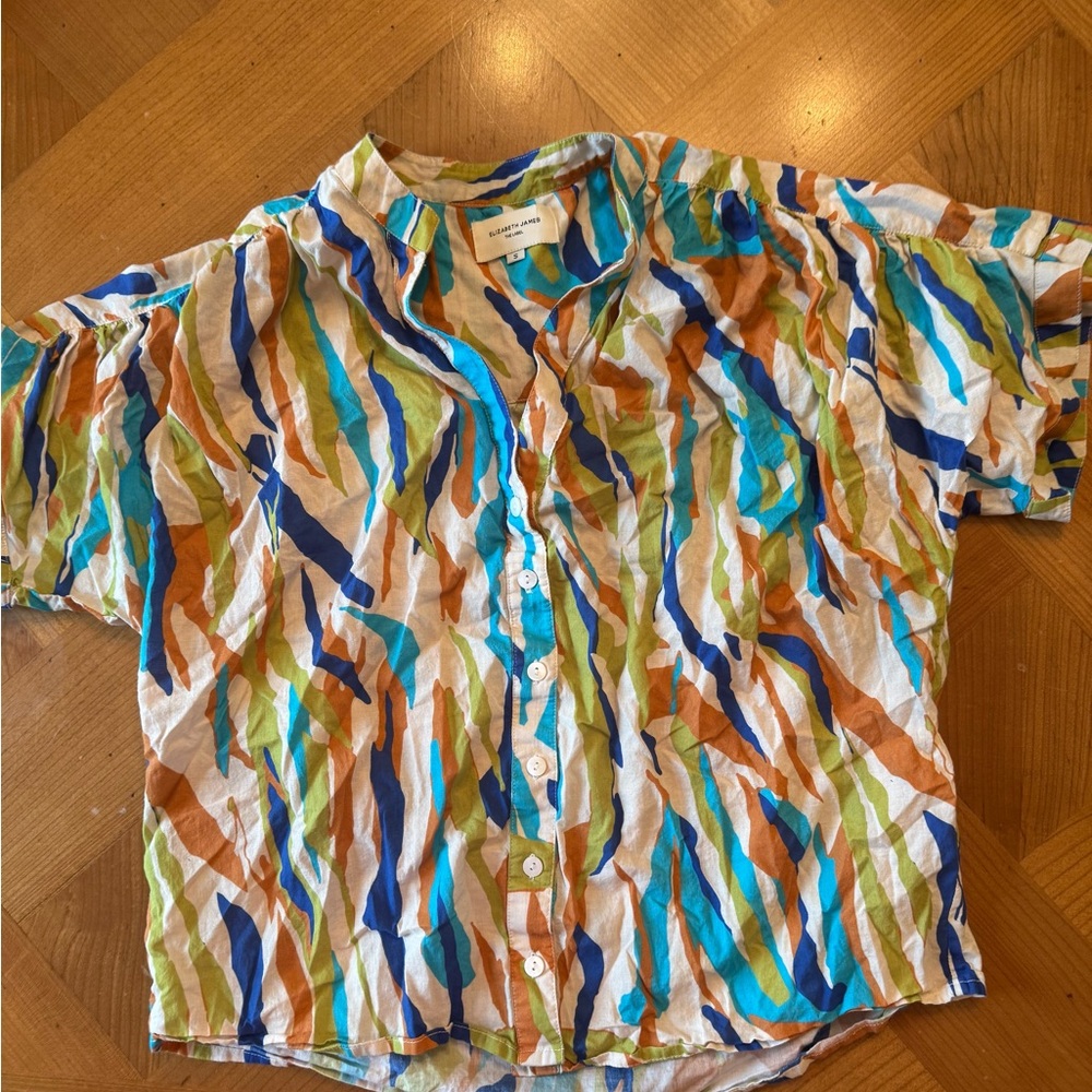 Elizabeth James The Label Vibrant Striped Men's Shirt